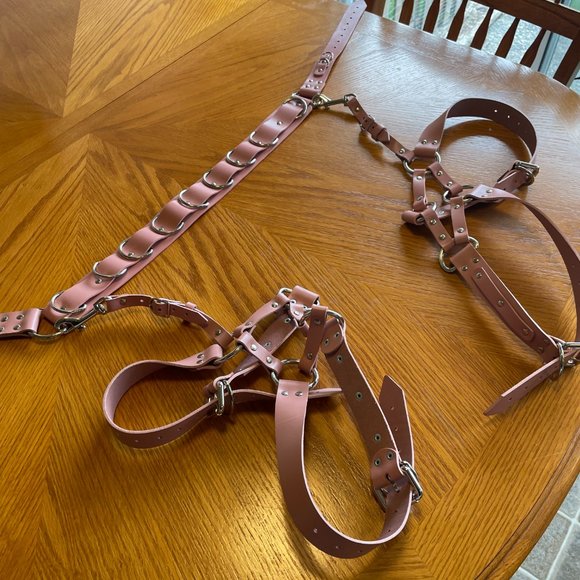 Bleak & Sleek REAL PINK LEATHER Leo Garter belt and garter Size Large - Picture 5 of 12